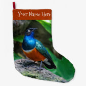 Atemberaubender Afrikanischer Superstar Starling S Großer Weihnachtsstrumpf (Vorderseite)