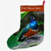 Atemberaubender Afrikanischer Superstar Starling S Großer Weihnachtsstrumpf (Rückseite)