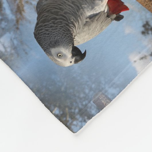 Atemberaubender afrikanisches Grau-Papagei Fleecedecke (Ecke)