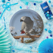 Atemberaubender afrikanisches Grau-Papagei Pappteller (Party)