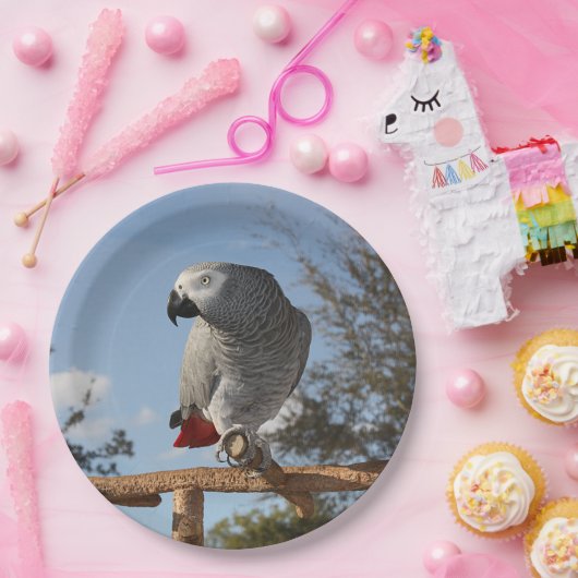 Atemberaubender afrikanisches Grau-Papagei Pappteller (Party)