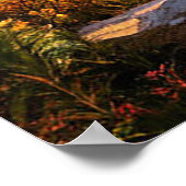 Atemberaubender Alpenaufstieg über das bewaldete T Poster (Ecke)