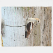Atemberaubender American Avocet Wading Bird am Str Fleecedecke (Vorderseite (Horizontal))