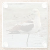 Atemberaubender American Avocet Wading Bird am Str Glasuntersetzer (Rückseite)