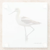 Atemberaubender American Avocet Wading Bird am Str Glasuntersetzer (Rückseite)
