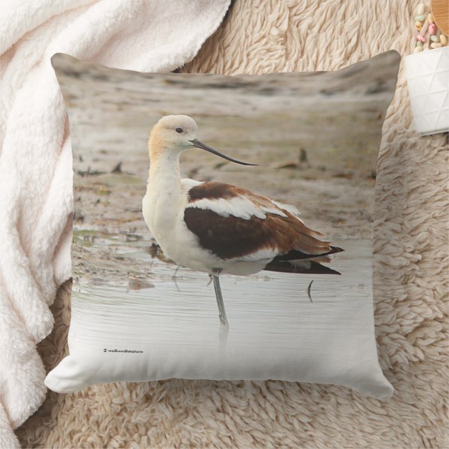 Atemberaubender American Avocet Wading Bird am Str Kissen (Decke)