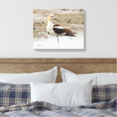 Atemberaubender American Avocet Wading Bird am Str Leinwanddruck (Insitu (Schlafzimmer))