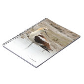 Atemberaubender American Avocet Wading Bird am Str Notizblock (Linke Seite)