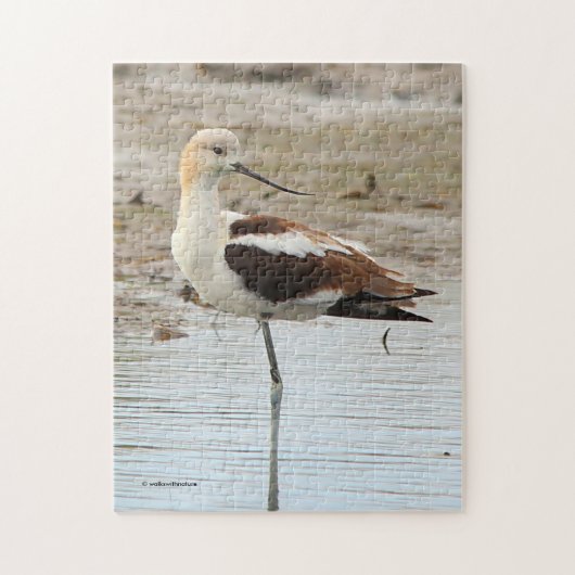 Atemberaubender American Avocet Wading Bird am Str Puzzle (Vertikal)