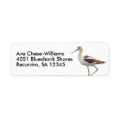 Atemberaubender amerikanischer Avocet-Vogel am Str (Vorne)