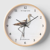 Atemberaubender amerikanischer Avocet-Vogel am Str Uhr (Vorderseite)