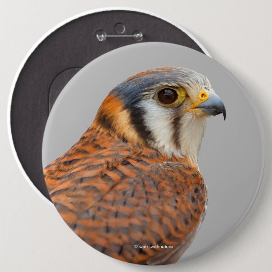 Atemberaubender amerikanischer Kestrel Sparrowhawa Button (Vorne & Hinten)