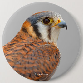 Atemberaubender amerikanischer Kestrel Sparrowhawa Button