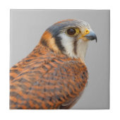 Atemberaubender amerikanischer Kestrel Sparrowhawa Fliese (Vorderseite)