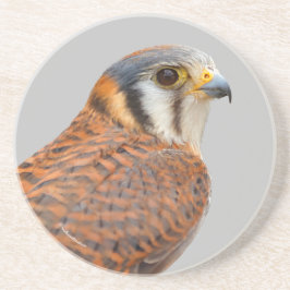 Atemberaubender amerikanischer Kestrel Sparrowhawa Getränkeuntersetzer