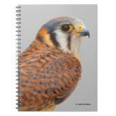 Atemberaubender amerikanischer Kestrel Sparrowhawa Notizblock (Vorderseite)