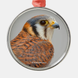 Atemberaubender amerikanischer Kestrel Sparrowhawa Ornament Aus Metall
