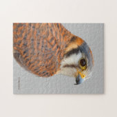 Atemberaubender amerikanischer Kestrel Sparrowhawa Puzzle (Horizontal)