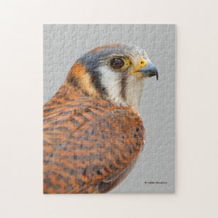 Atemberaubender amerikanischer Kestrel Sparrowhawa Puzzle