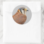 Atemberaubender amerikanischer Kestrel Sparrowhawa Runder Aufkleber (Tasche)