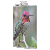 Atemberaubender Anna-Hummingvogel auf dem Pflaumen Flachmann (Links)