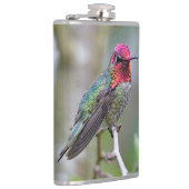 Atemberaubender Anna-Hummingvogel auf dem Pflaumen Flachmann (Rechts)