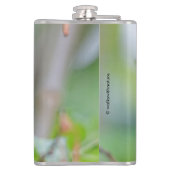 Atemberaubender Anna-Hummingvogel auf dem Pflaumen Flachmann (Rückseite)