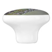 Atemberaubender Anna-Hummingvogel auf dem Pflaumen Keramikknauf (Seitenansicht)