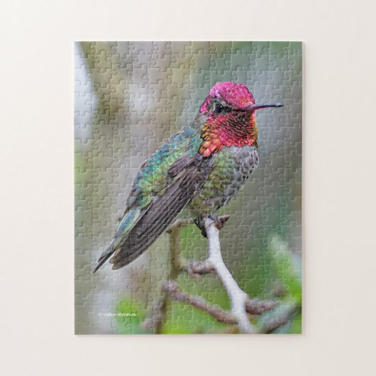Atemberaubender Anna-Hummingvogel auf dem Pflaumen Puzzle (Vertikal)