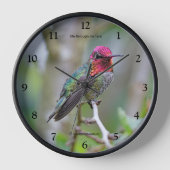 Atemberaubender Anna-Hummingvogel auf dem Pflaumen Wanduhr (Vorderseite)