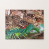 Atemberaubender australischer König Papagei Klette Puzzle (Horizontal)