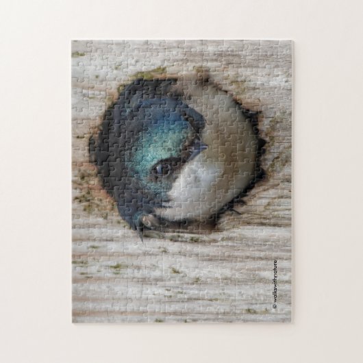 Atemberaubender Baum Schlucken in einem Nestkasten Puzzle (Vertikal)