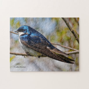 Atemberaubender Baumschlamm Songbird auf einer Abz Puzzle