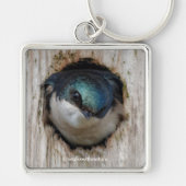 Atemberaubender Baumschlamm Songbird in Nestbox Schlüsselanhänger (Vorne)