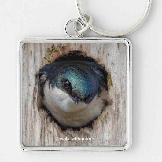 Atemberaubender Baumschlamm Songbird in Nestbox Schlüsselanhänger (Vorne)