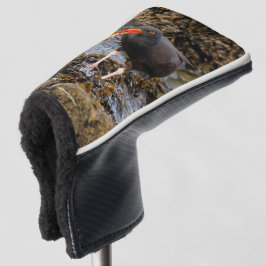 Atemberaubender Black Oystercatcher Shorebird mit  Golf Headcover