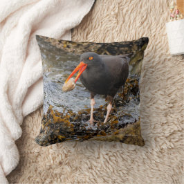 Atemberaubender Black Oystercatcher Shorebird mit  Kissen
