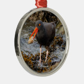 Atemberaubender Black Oystercatcher Shorebird mit Ornament Aus Metall (Rechts)