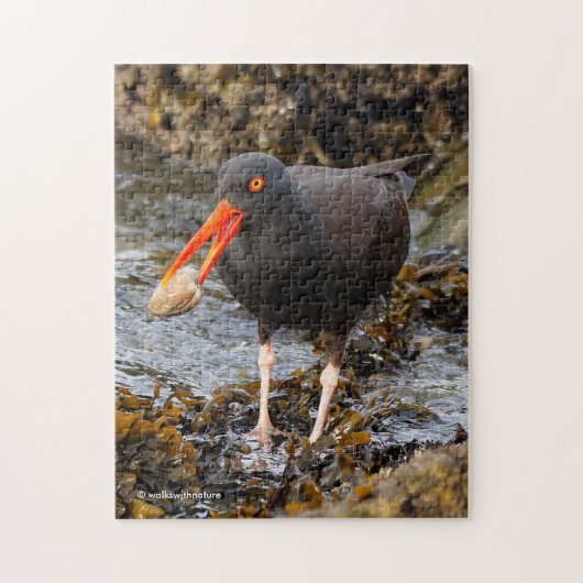 Atemberaubender Black Oystercatcher Shorebird mit  Puzzle (Vertikal)