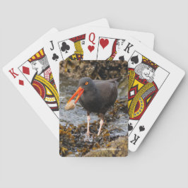 Atemberaubender Black Oystercatcher Shorebird mit  Spielkarten