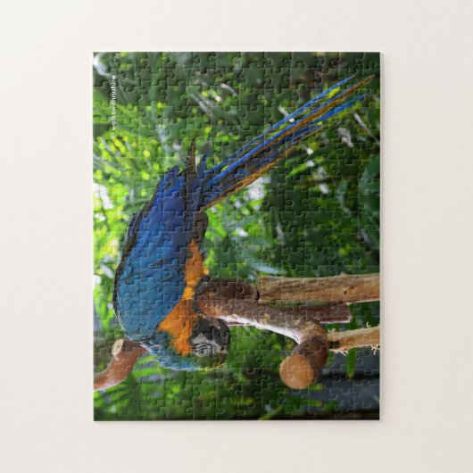 Atemberaubender Blauer Papagei Puzzle (Vertikal)