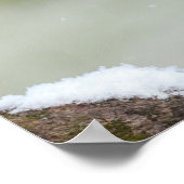 Atemberaubender Blauzungenvogel im Schnee Poster (Ecke)