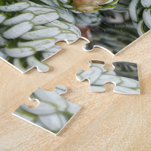 Atemberaubender Closeup-Zwerg koreanischer Feuerwe Puzzle (Seite)