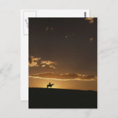 Atemberaubender Cowboy Sunset Postkarte (Vorne/Hinten)