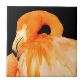 Atemberaubender Flamingo-Bird in der Sommersonne Fliese (Vorderseite)