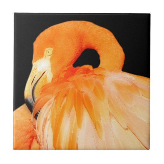 Atemberaubender Flamingo-Bird in der Sommersonne Fliese (Vorderseite)