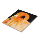 Atemberaubender Flamingo-Bird in der Sommersonne Fliese (Seite)