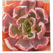 Atemberaubender Garten Sukkuline Rosa Töne Kunst, Duschvorhang (Vorderseite)