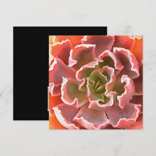 Atemberaubender Garten Sukkuline Rosa Töne Kunst,  Einladung