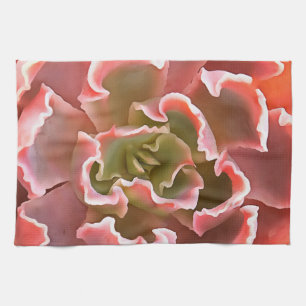 Atemberaubender Garten Sukkuline Rosa Töne Kunst, Geschirrtuch